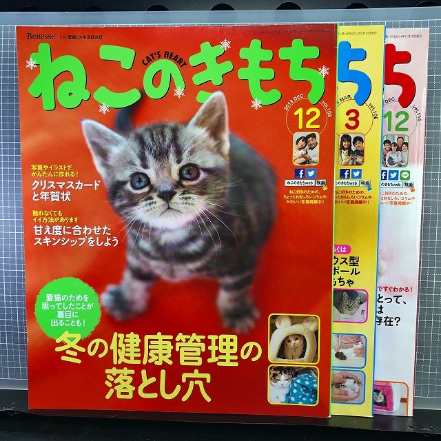 ねこのきもち ✖ 3冊 10月号、11月号、12月号（付録なし） - 猫