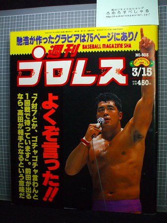 ◇週刊プロレス603号(1994/3/15)高田延彦/UWFインター/垣原賢人vs田村