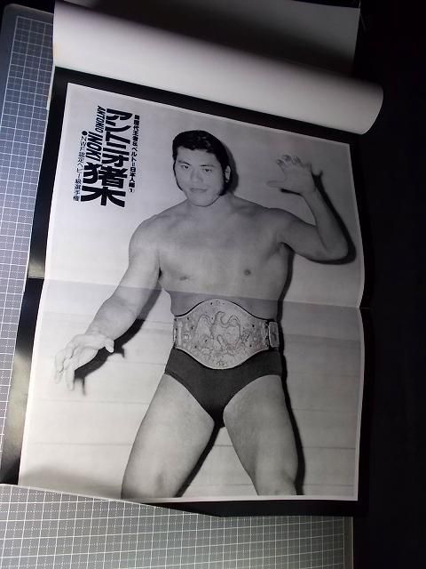 別冊ゴングVOL.1~5 2025年最新】Yahoo!オークション -別冊ゴング 5月の中古品・新品