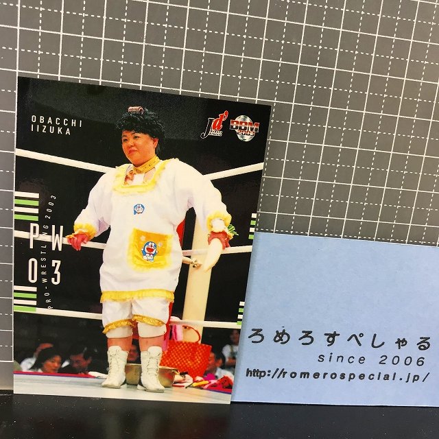 おばっち飯塚　直筆サインカード　autograph cards 女子プロレス　jd' collecara