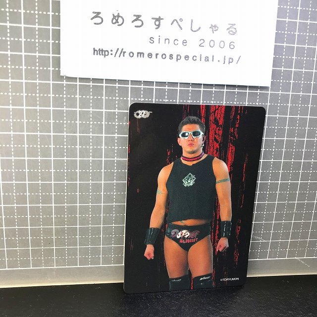 マグナムTOKYO コスチューム 闘龍門 プロレス サイン入り - スカジャン