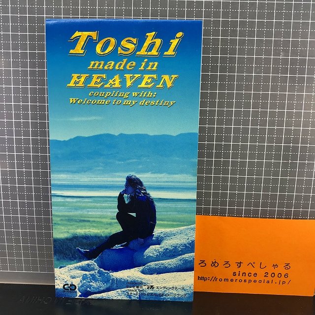 TOSHI 『 ROCK OPERA HAMLET 』 パンフレット 1993年 - アート