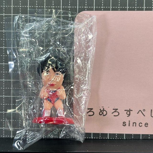 フィギュア】プロ格ヒーローズ - ろめろすぺしゃるsince2006