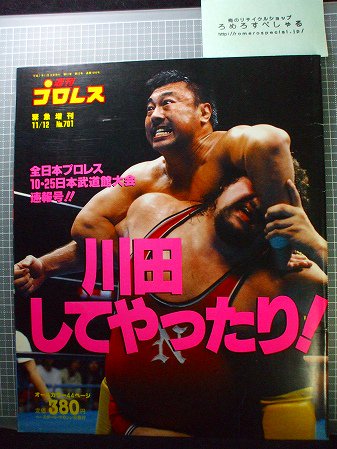 ◇週刊プロレス701号(1995/11/12増)全日本プロレス/川田利明vsオブライト/三沢光晴vs小橋/馬場&ハンセン&鶴田vs田上&大森&多聞 -  ろめろすぺしゃるsince2006