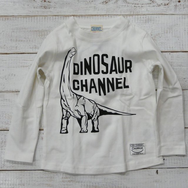 恐竜Tシャツ100サイズ