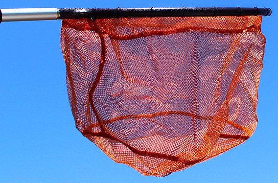 玉！GINKAKU伸びる玉の柄とへら玉網ワイド３０cmセット - へらぶな釣具 