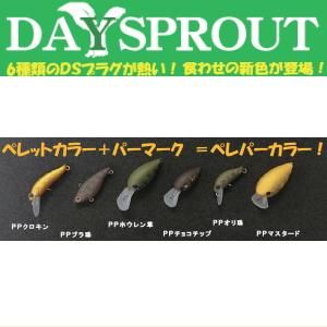 ディスプラウト【DAYSPROUT】 プラグ各種【ペレパーカラー