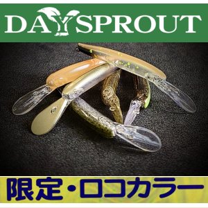 ディスプラウト　イーグルプレーヤー50slim/GJ【限定ロコカラー】