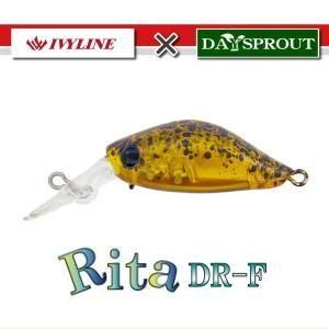 ディスプラウト　リタ　オリカラ有り アイビーライン×ディスプラウト リタDR-F【2025コラボカラー】