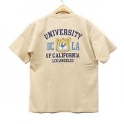 HOUSTONUCLA PIGMENT ץTee 554