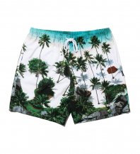 <font size=5>APPLEBUM</font><br>Palm Beach Board Shorts<br>Palm Tree<br>