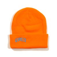 <font size=5>ACAPULCO GOLD</font><br> VARSITY LOGO BEANIE <br> 3color <br><img class='new_mark_img2' src='https://img.shop-pro.jp/img/new/icons1.gif' style='border:none;display:inline;margin:0px;padding:0px;width:auto;' />