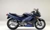 1991ǯǥ(EX250-H2) EBONY  METALLIC SONIC BLUE