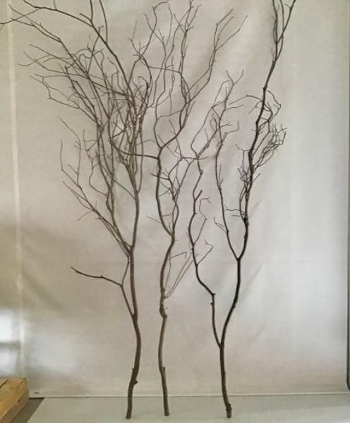 枝 - 木のアート ARBO