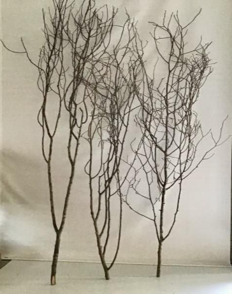 枝アート Utagawa Hiroshige（歌川広重） Kiso Mountains in Snow -Snow