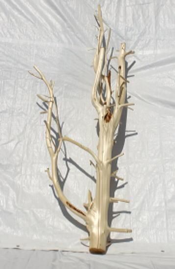 枝付き 木の華 A752｜木の枝販売・木のアートきごころアルボ