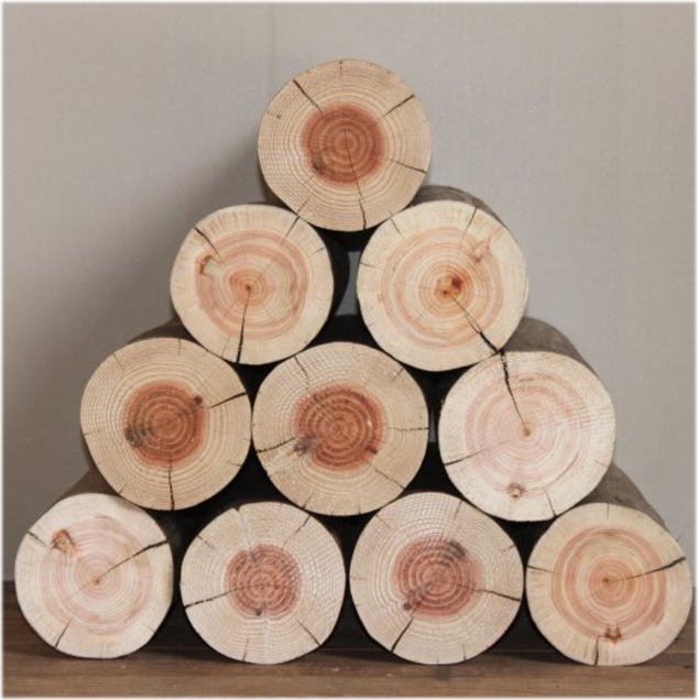 杉皮むき丸太薪 - 木のアート ARBO