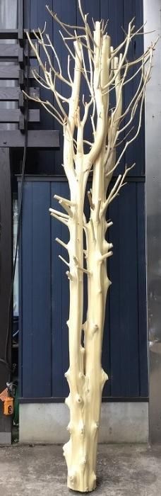 木の枝　50本 楽天市場】【送料無料】園芸 支柱F（高さ約50cmまで用細50、太木