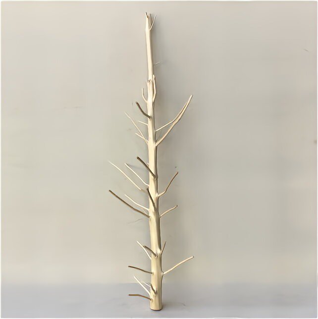 枝付き 木の華 a1301｜自然木販売・木のアートきごころアルボ