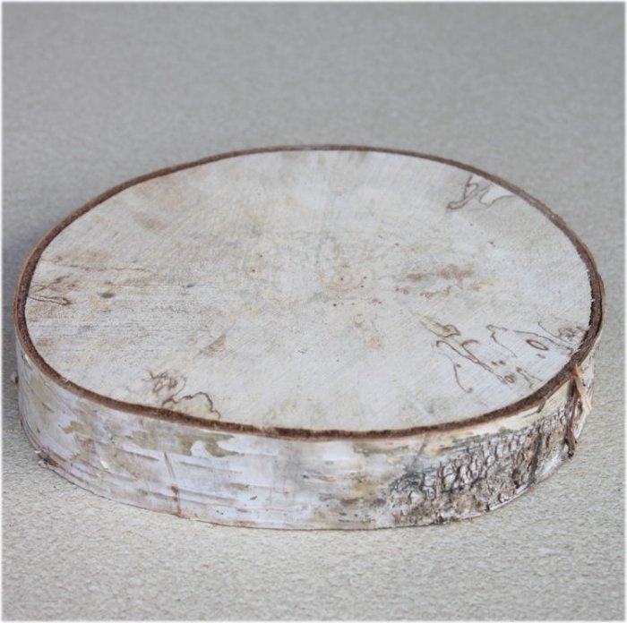 木の年輪板 白樺 樹皮つき Ｓサイズ（130-180mm）