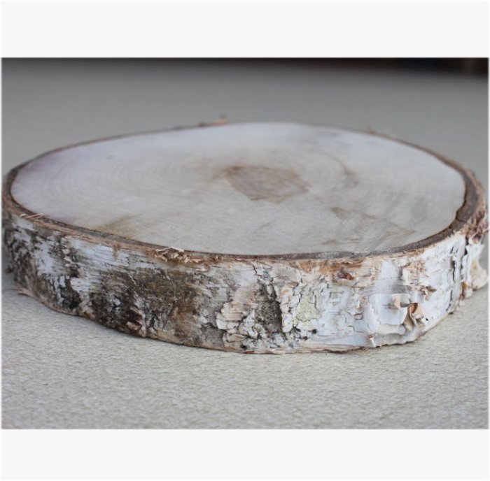 木の年輪板 白樺 樹皮つき mサイズ（130～180ｍｍ）