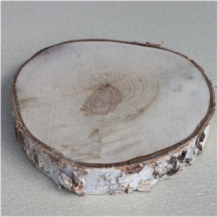 木の年輪板 白樺 樹皮つき Mサイズ（210-240mm）