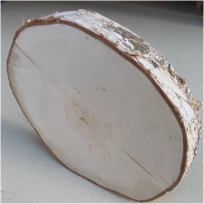 木の年輪板 白樺 樹皮つき mサイズ（250～270ｍｍ）