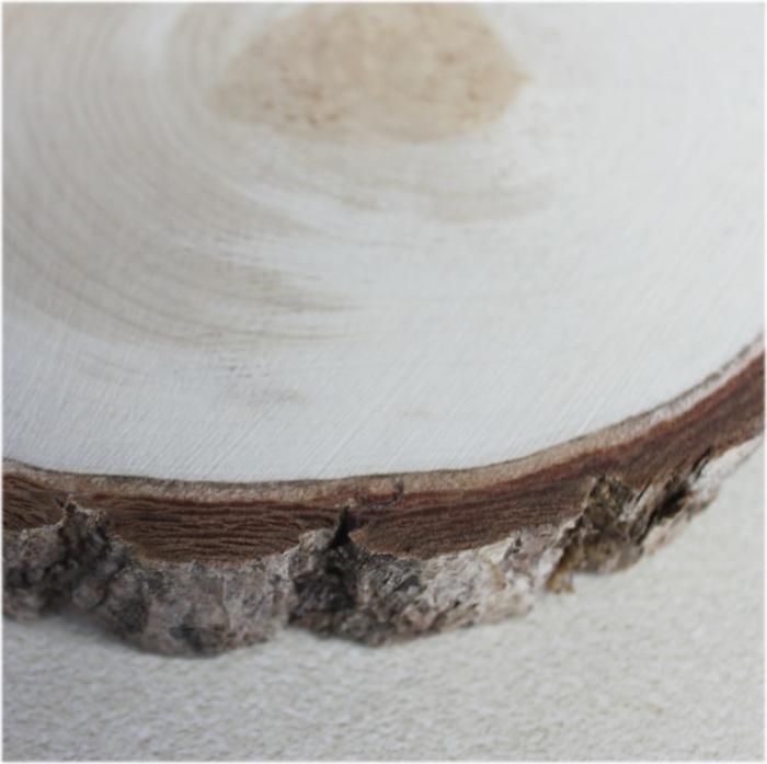 木の年輪板 イチョウ 樹皮つき mサイズ（210～240mm）