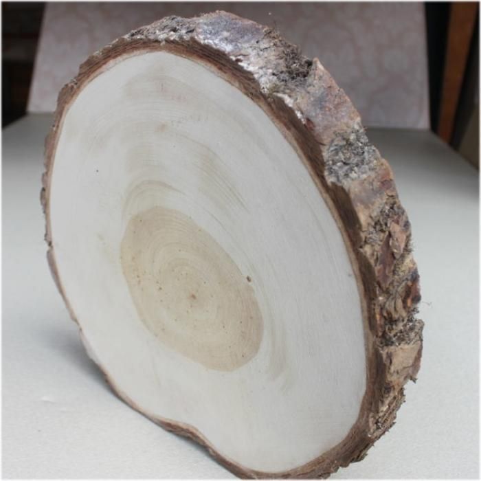 木の年輪板 イチョウ 樹皮つき llサイズ(280~350mm) 木の年輪板 イチョウ 樹皮つき llサイズ(280~350mm)