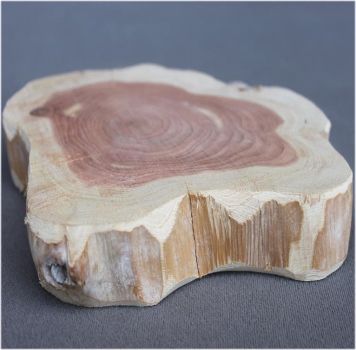木の年輪板 イブキ 樹皮なし Sサイズ（150-200mm）