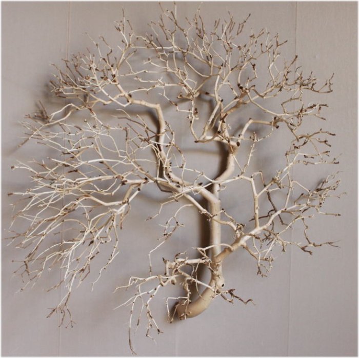 枝付き 木の華 k00001｜自然木販売・木のアートきごころアルボ