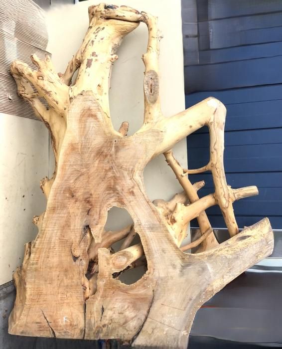 ケヤキ1760 W1420  T310