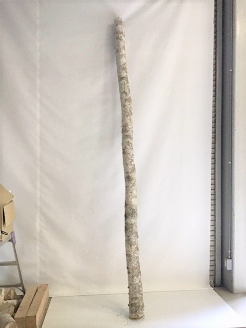 天然木　丸太パーツ　直径7cm長さ50cm