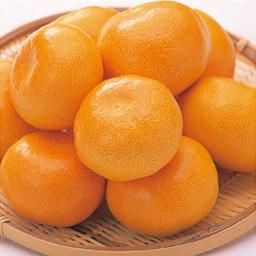 八女産 立花みかん 1kg 顔の見える九州野菜の通販サイト 案山子倶楽部 八女産 立花みかん 1kg 顔の見える九州野菜の通販サイト 案山子倶楽部