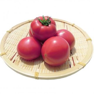 佐賀県小城産「フルーツトマト」150g