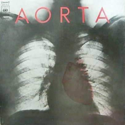 AORTA レコード エイオータ（AORTA） 『エイオータ』 - 中古CD＆レコード