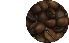 シティローストの豆の画像