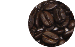 フレンチローストの豆の画像