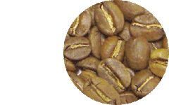 ライトローストの豆の画像