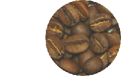 ミディアムローストの豆の画像