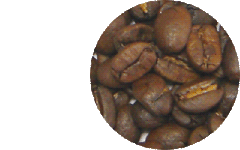 ミディアムハイローストの豆の画像