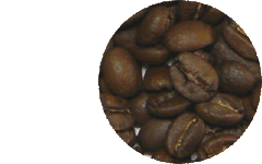 ハイローストの豆の画像