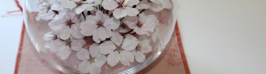 桜(ソメイヨシノ)のボトルフラワー(ボールボトル大 桜(ソメイヨシノ)のボトルフラワー(ボールボトル大