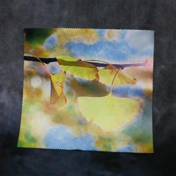 <img class='new_mark_img1' src='https://img.shop-pro.jp/img/new/icons15.gif' style='border:none;display:inline;margin:0px;padding:0px;width:auto;' />ڥ祦ۥ꡼˥󥰥ᥬͿ