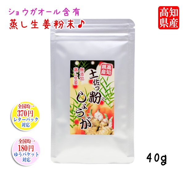 生姜 粉末 高知県産 - 調味料・料理の素・油