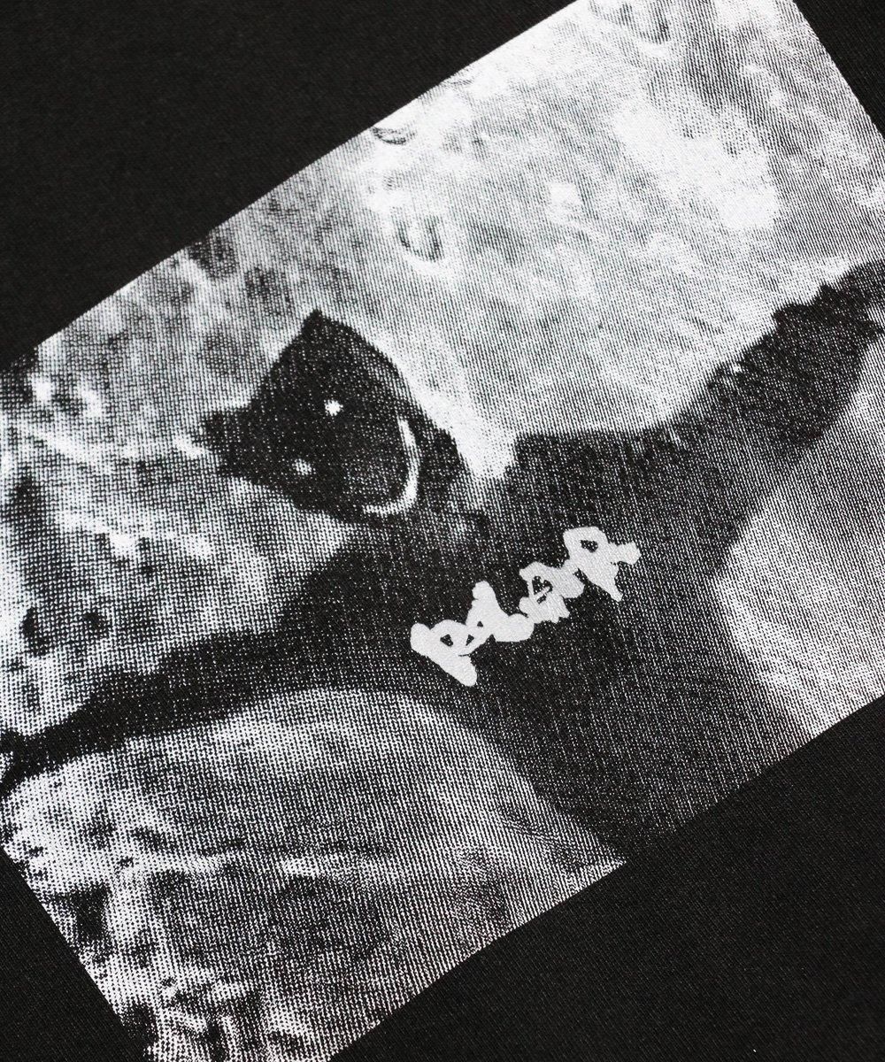 Polar Skate Co. / LS TEE SUSTAINED DISINTEGRATION