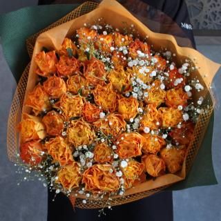 ϥ졼ɥ󥸥ХȤβ«20ܰʾܿ֡
