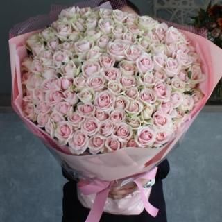 øԥ󥯥Хβ«20ܰʾܿ