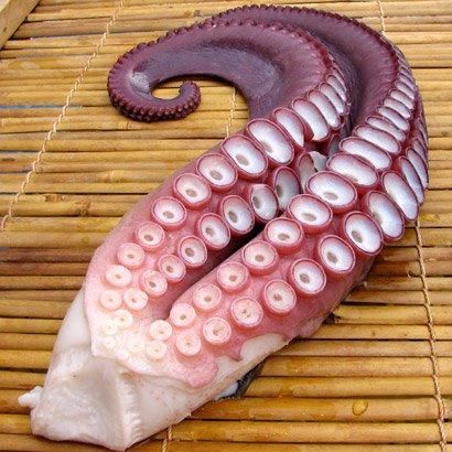 冷蔵 煮たこ1杯分足8本頭つき5 6kg分 内臓付 第八幸運丸ー幸sachiー青森八戸のたこ 茹でたこ八戸から産地直送いたします 冷蔵 煮たこ1杯分足8本頭つき5 6kg分 内臓付 第八幸運丸ー幸sachiー青森八戸のたこ 茹でたこ八戸から産地直送いたします