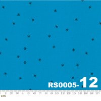 Spark-RS0005-12(3F-21)